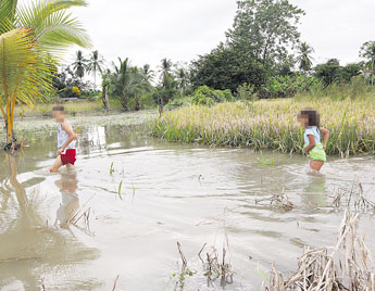 haga click para ampliar la imagen