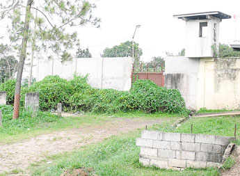 haga click para ampliar la imagen