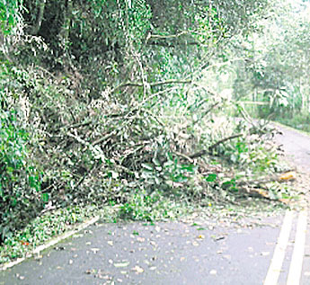 haga click para ampliar la imagen