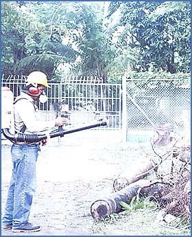 Imagen foto