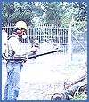Imagen foto