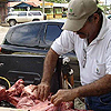 Imagen foto