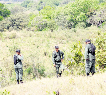 haga click para ampliar la imagen