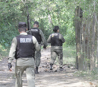 haga click para ampliar la imagen