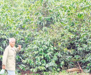 haga click para ampliar la imagen