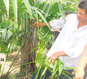 haga click para ampliar la imagen