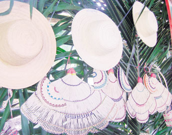 haga click para ampliar la imagen