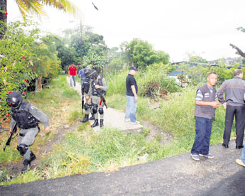 haga click para ampliar la imagen