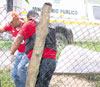 haga click para ampliar la imagen