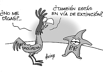Imagen foto