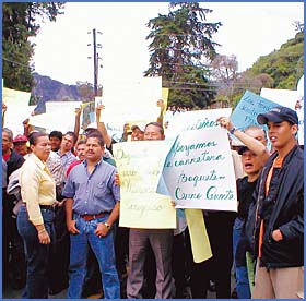 Imagen foto