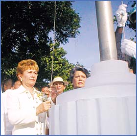 Imagen foto