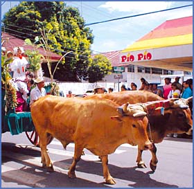 Imagen foto