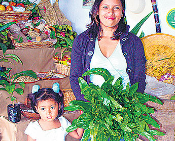 haga click para ampliar la imagen
