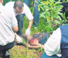 haga click para ampliar la imagen