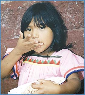 Imagen foto