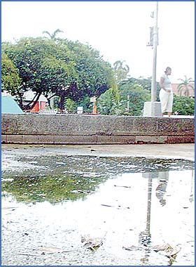 Imagen foto