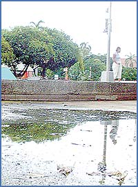 Imagen foto