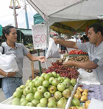 Imagen foto