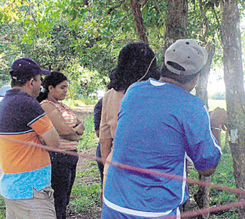 haga click para ampliar la imagen