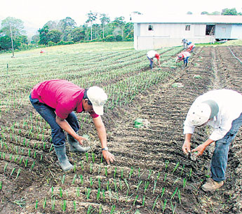 haga click para ampliar la imagen