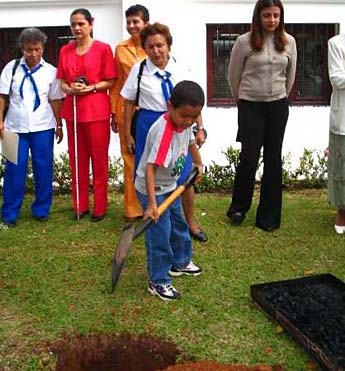 Imagen foto