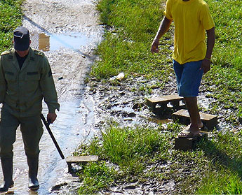 haga click para ampliar la imagen