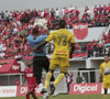 haga click para ampliar la imagen