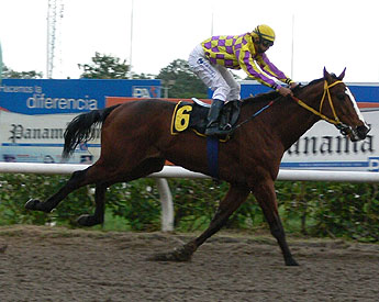 haga click para ampliar la imagen