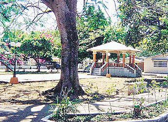 haga click para ampliar la imagen
