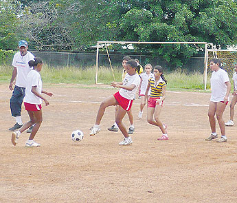 haga click para ampliar la imagen