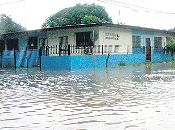 haga click para ampliar la imagen