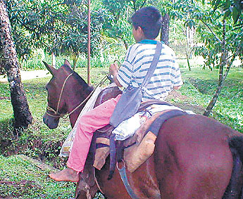 haga click para ampliar la imagen
