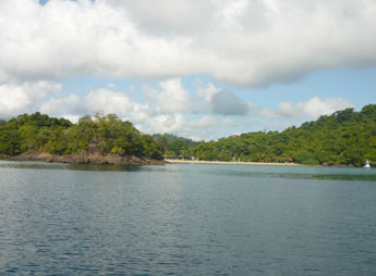 haga click para ampliar la imagen