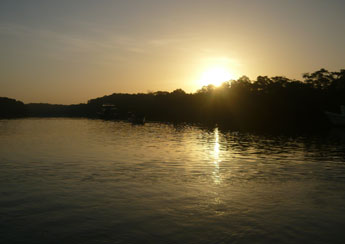 haga click para ampliar la imagen