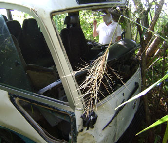 haga click para ampliar la imagen