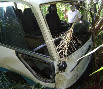 haga click para ampliar la imagen