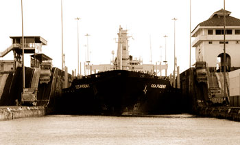 haga click para ampliar la imagen