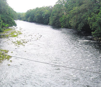 haga click para ampliar la imagen