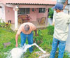 haga click para ampliar la imagen