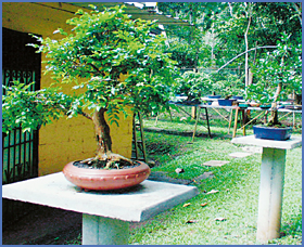 Imagen foto