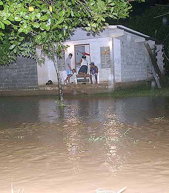Imagen foto