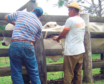 haga click para ampliar la imagen