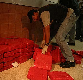 Imagen foto