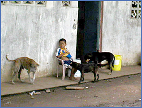 Imagen foto