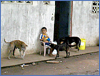 Imagen foto