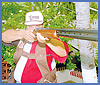 Imagen foto