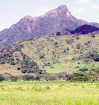 Imagen foto