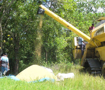 haga click para ampliar la imagen