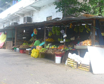 haga click para ampliar la imagen